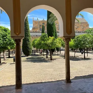 Precioso Junto A La Mezquita Apartment
